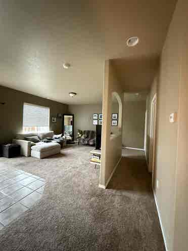 Looking for Roommates