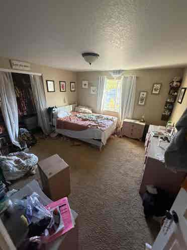 Looking for Roommates