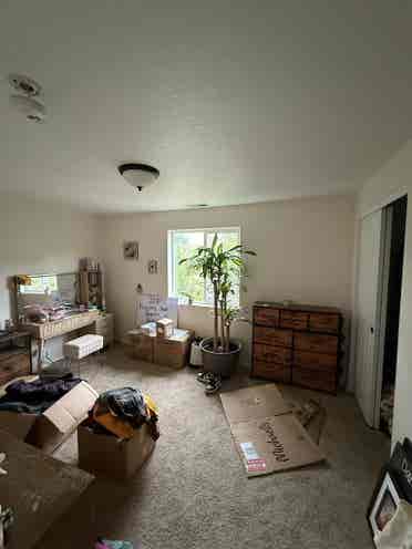 Looking for Roommates