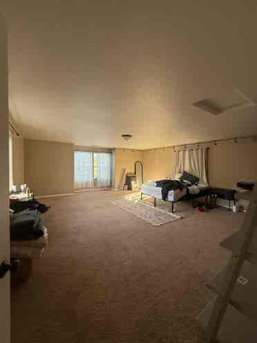 Looking for Roommates