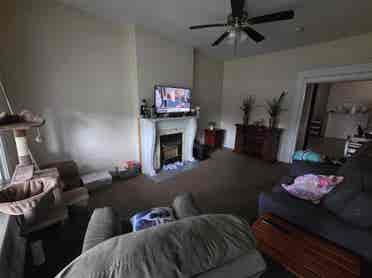 Roommate needed!
