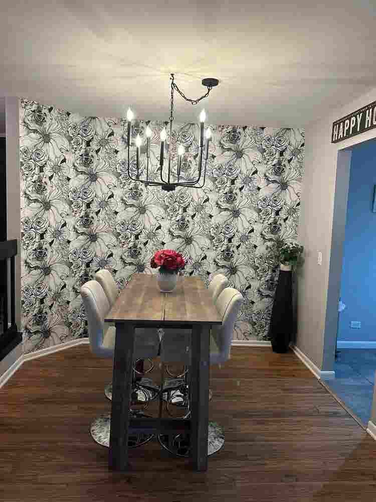 Looking for a female roommate