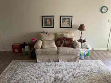 Downtown Carmel Roommate Needed