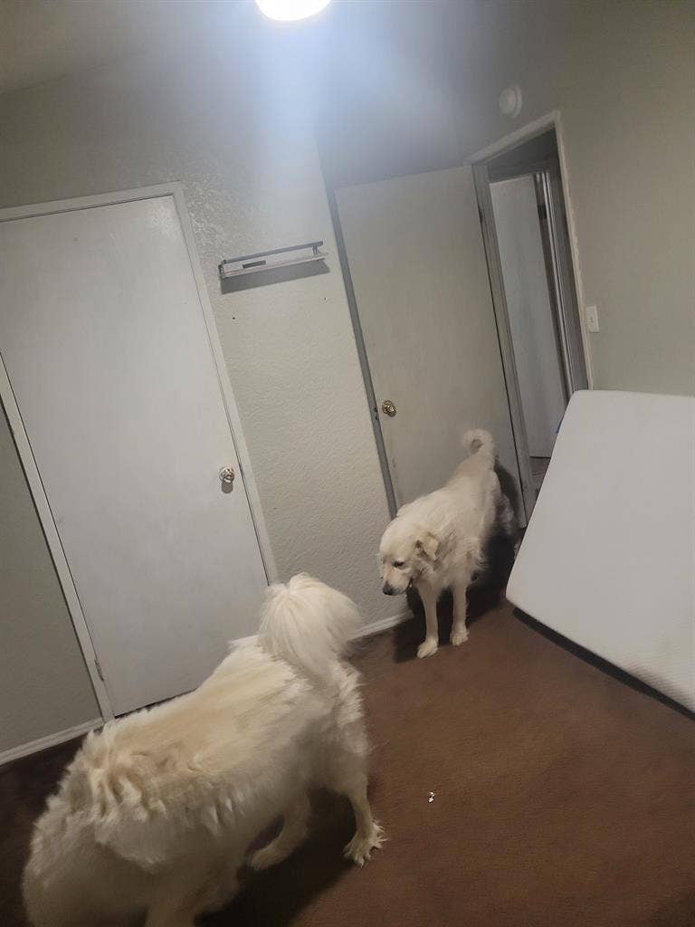 Unfurnished spare room
