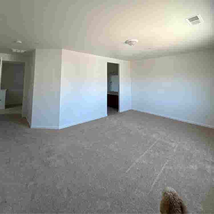 NEW HOUSE! ALL ROOMS AVAILABLEE