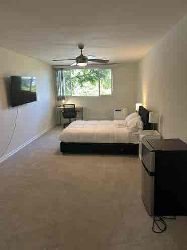 Roommate for shared bedroom