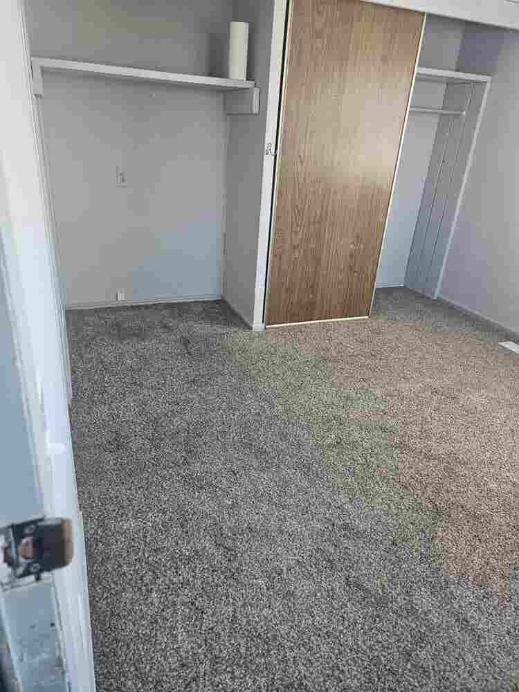 Needing roommate