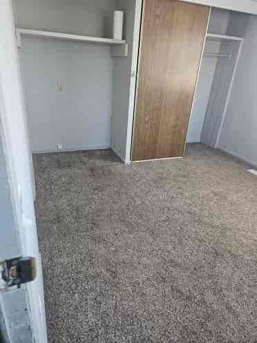 Needing roommate