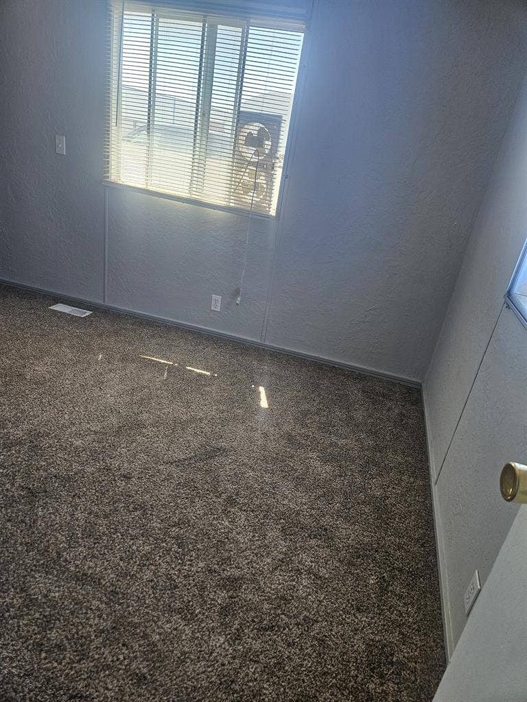 Needing roommate
