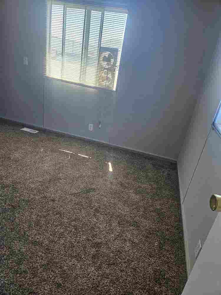 Needing roommate