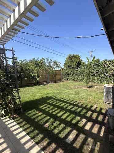 Looking For A Roomate