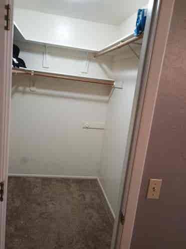 Roommate needed