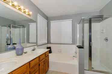 Roommate needed
