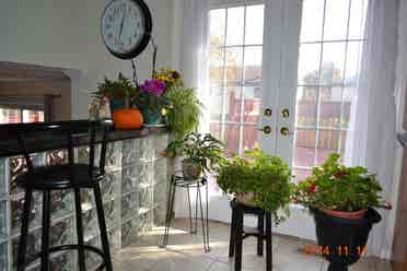 One Room for Rent Brampton, ON