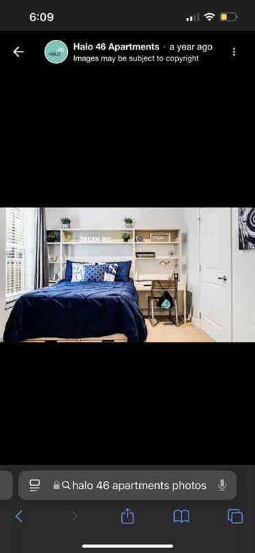 Halo  Apartments