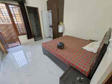 Need roomate