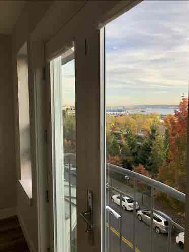 1B condo in Belltown for rent
