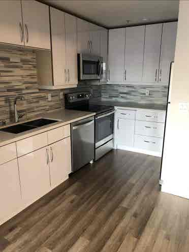 1B condo in Belltown for rent