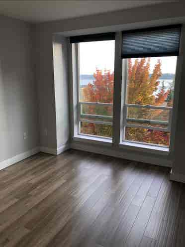 1B condo in Belltown for rent