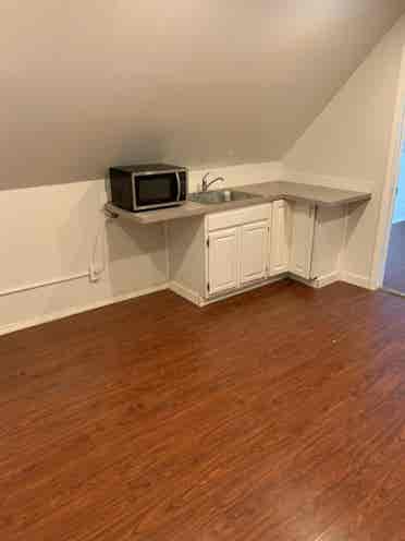 Spacious One BR w/ walking closet