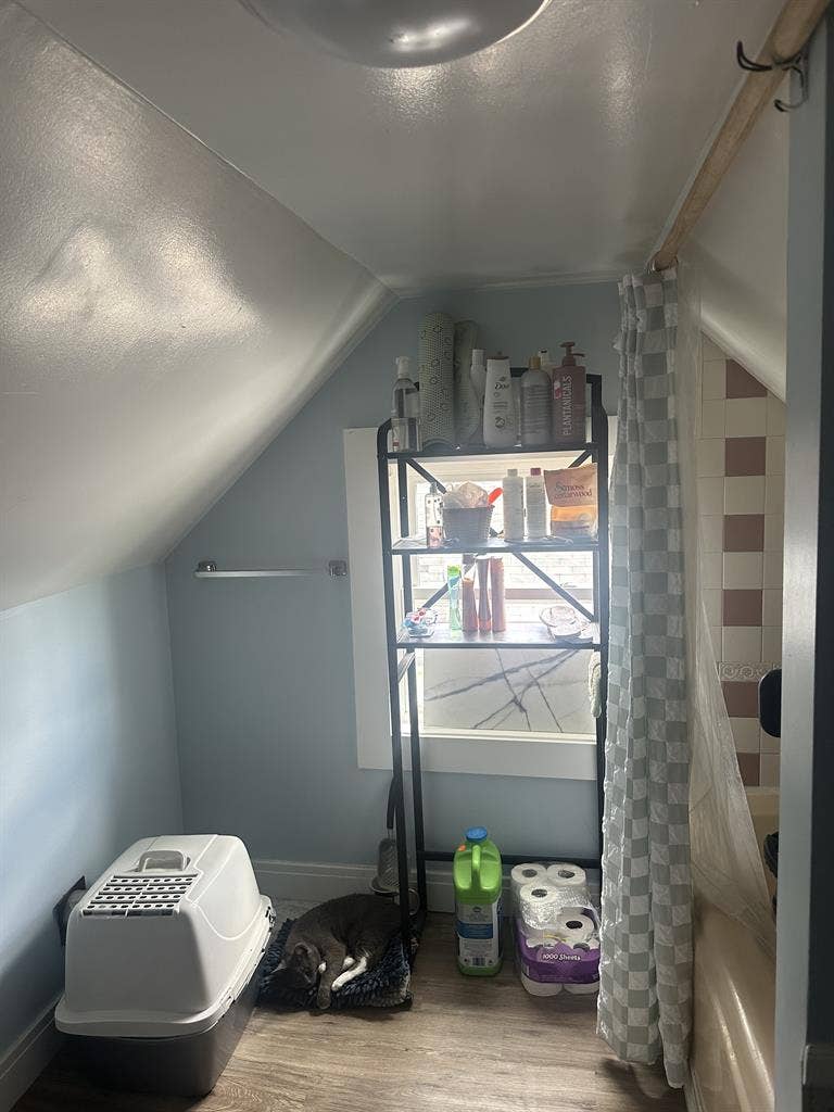 New Listing