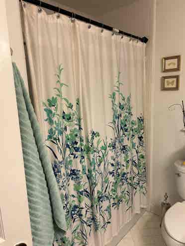Roommate wanted