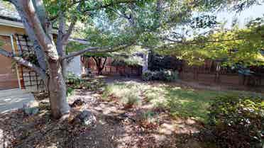 1 BR in Mountain View