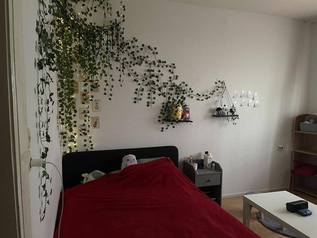 Schönes WG-Zimmer in Neustadt