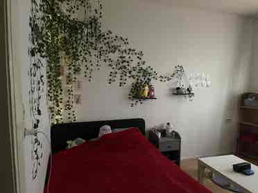 Schönes WG-Zimmer in Neustadt
