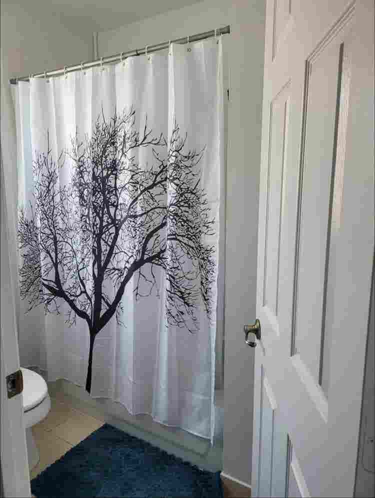 Beautiful furnished room for rent