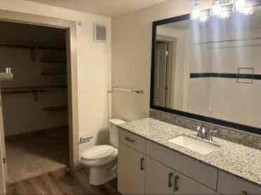 bathroom Apt