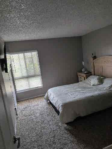 Looking for a roommate