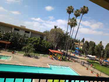 Looking for a roommate