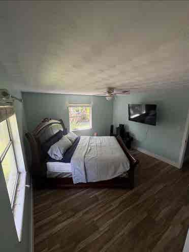 Looking for a reliable roommate