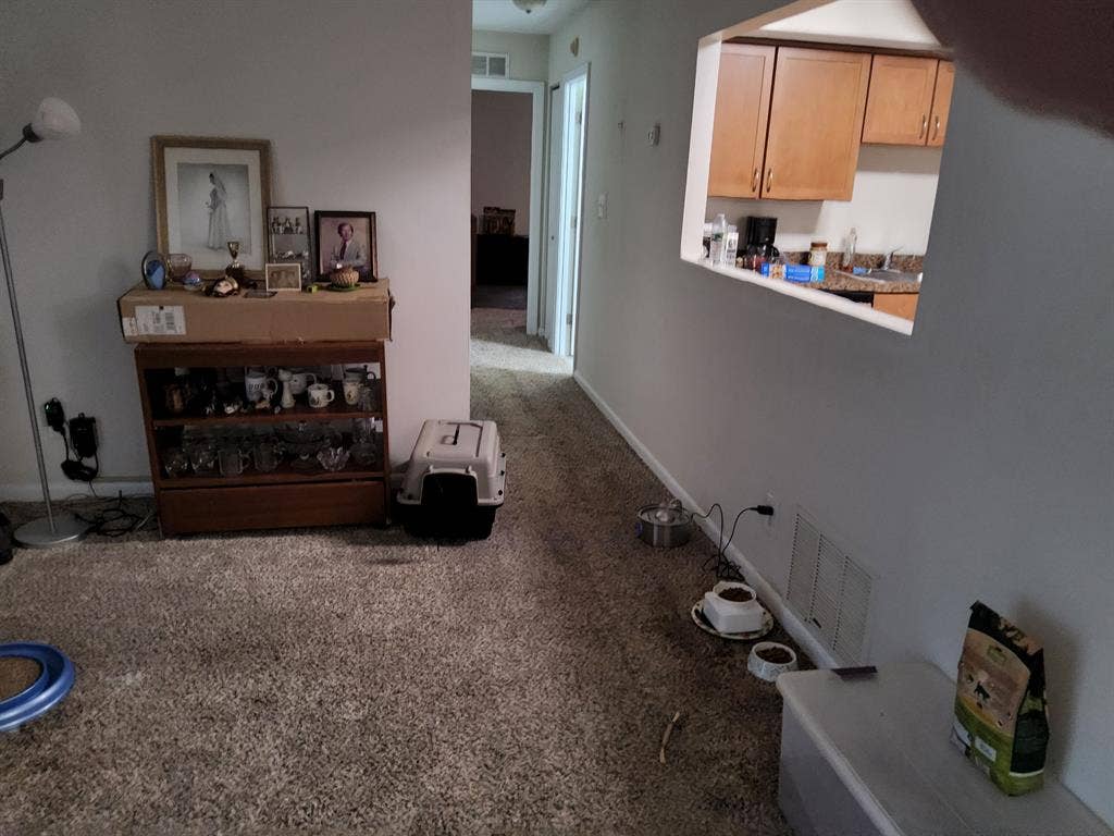Marborough Room for rent
