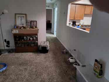 Marborough Room for rent