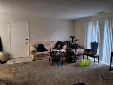 Marborough Room for rent