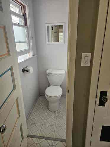 Responsible roommate needed