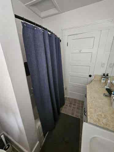 Responsible roommate needed