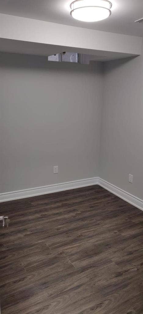 Markham Basement- July 1st