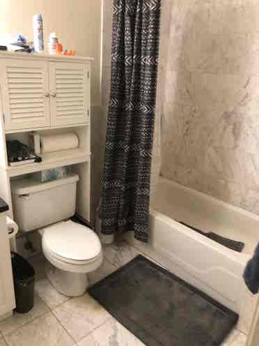 Spacious apartment in Davis Square