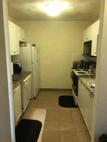 Spacious apartment in Davis Square