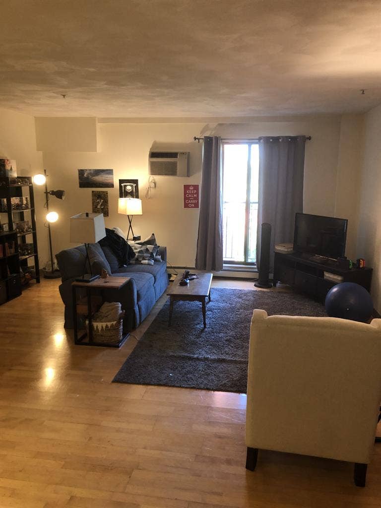 Spacious apartment in Davis Square