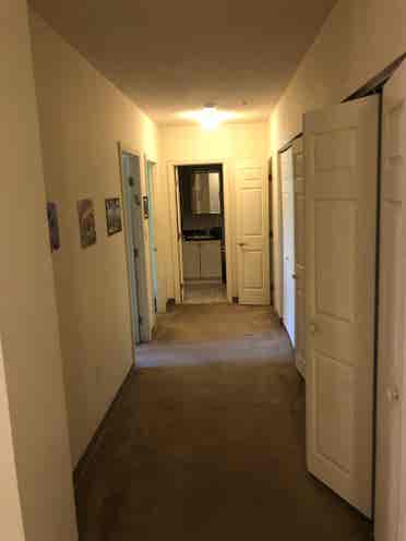 Spacious apartment in Davis Square