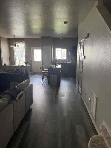 Looking to rent a room