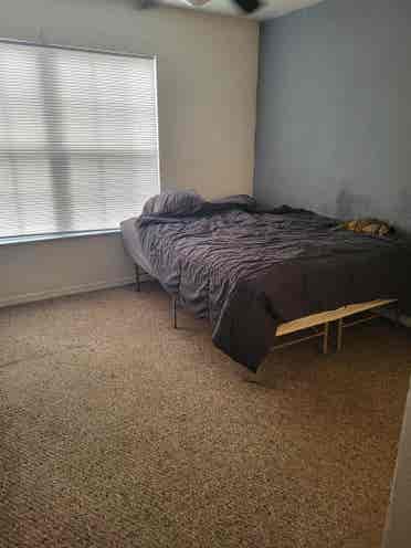 Room for rent shared apartment