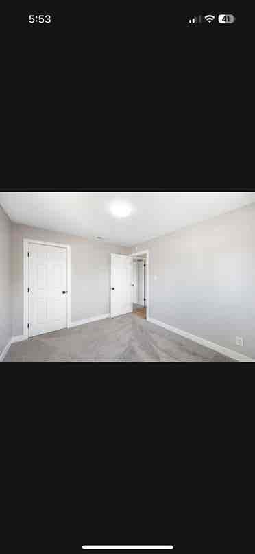 Looking for a roommate