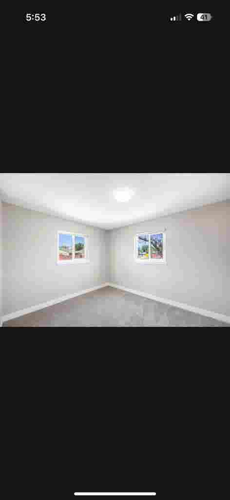 Looking for a roommate