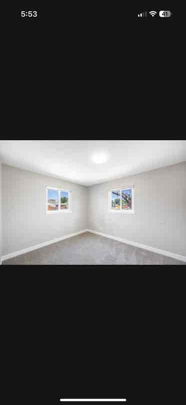 Looking for a roommate