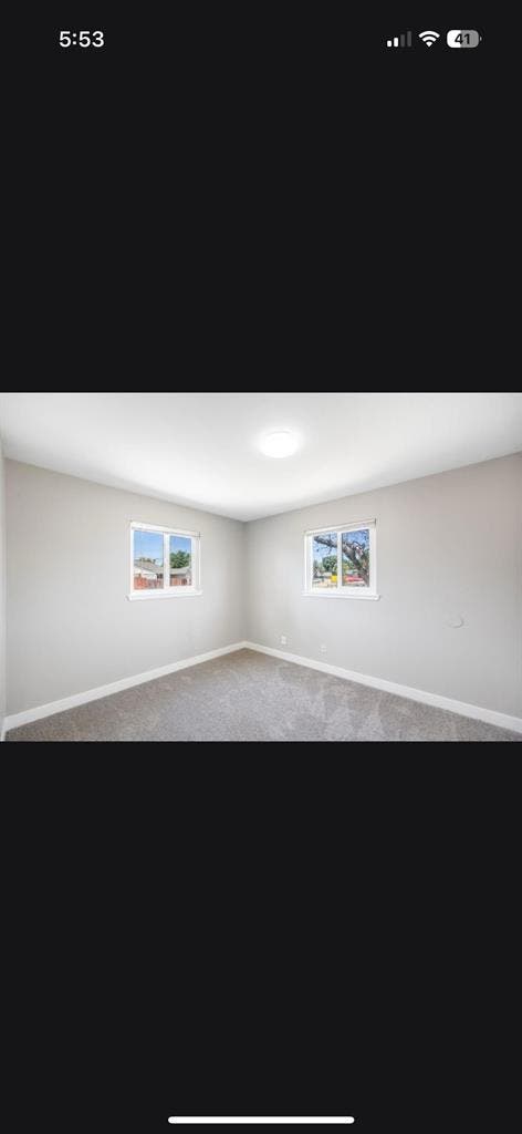 Looking for a roommate